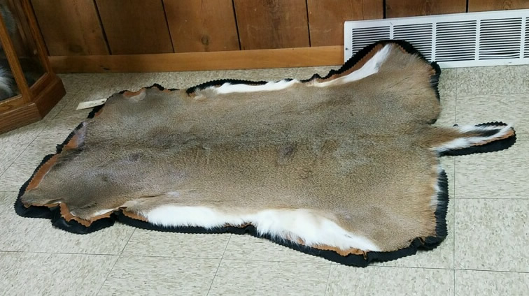 For Taxidermy Mounts, How To Skin An Elk For A Rug