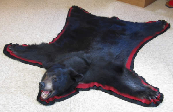 Taxidermy Mounts For, How Much Is A Black Bear Skin Rug Worth